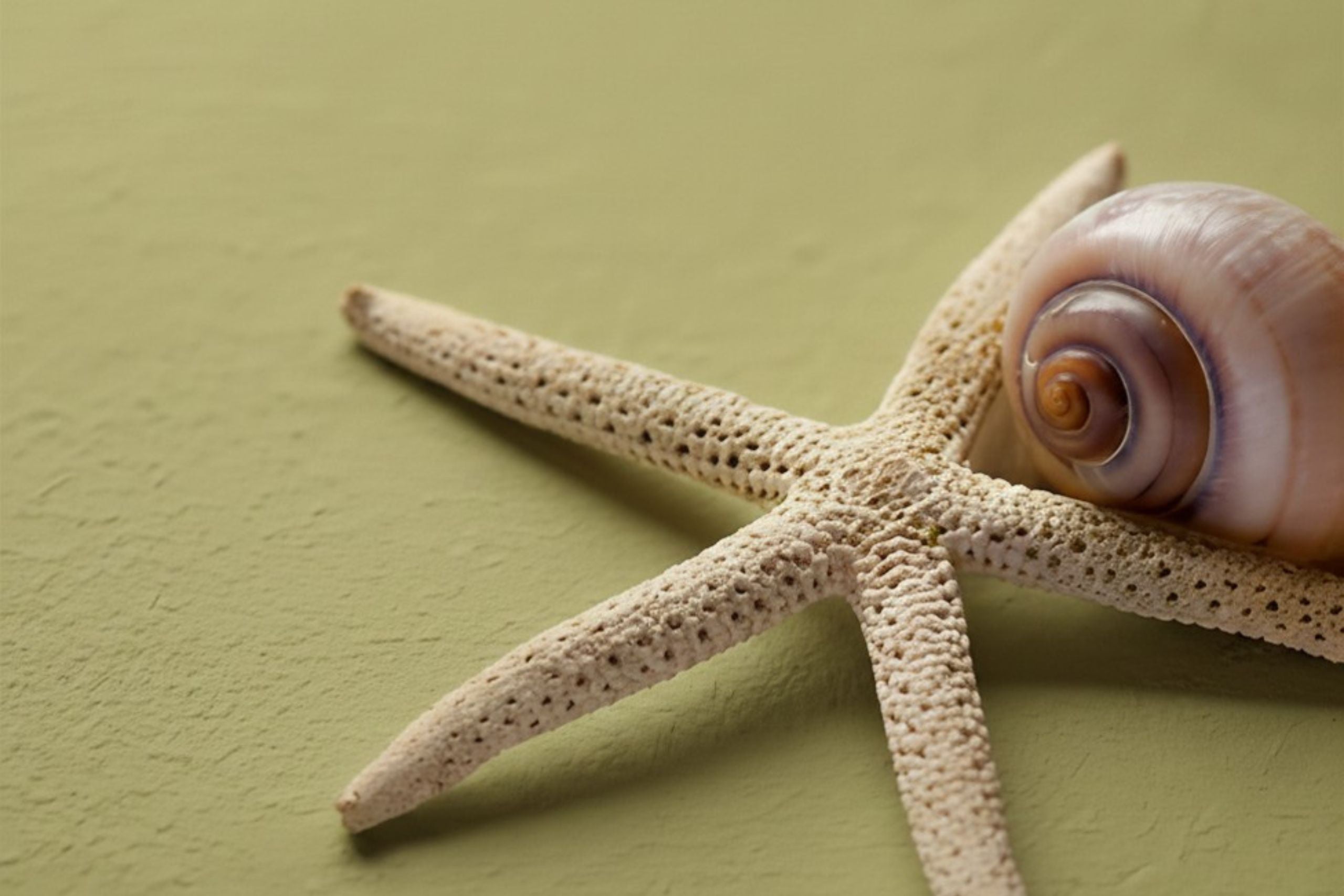 Naturbaustoffladen | Naturfarben Freiburg _ conluto Lehmfarbe