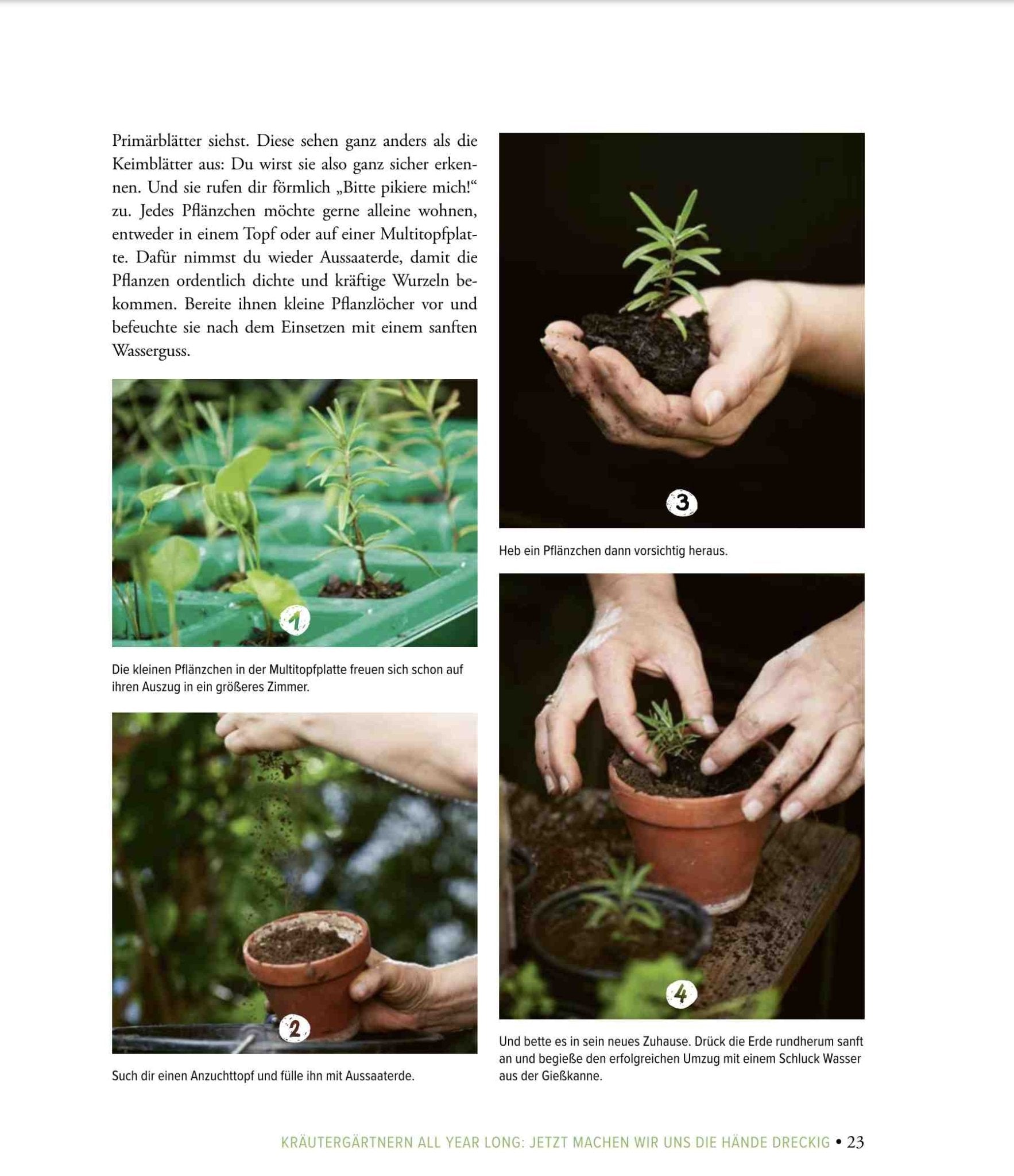 Naturbaustoffladen | Naturfarben Freiburg _ Andrea Breithuber | Deine fabelhaften Kräuter