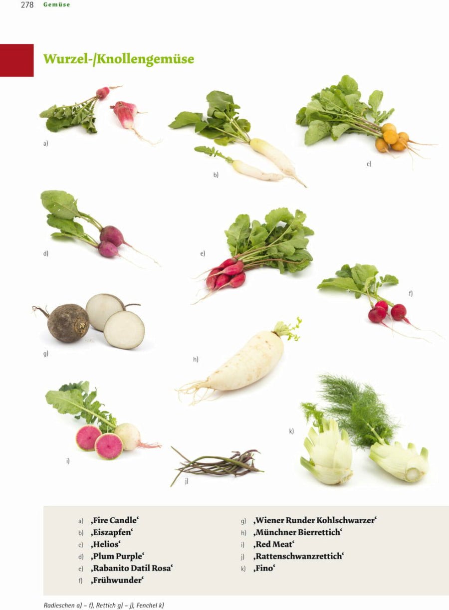 Naturbaustoffladen | Naturfarben Freiburg _ Andrea Heistinger | Das große Biogarten - Buch