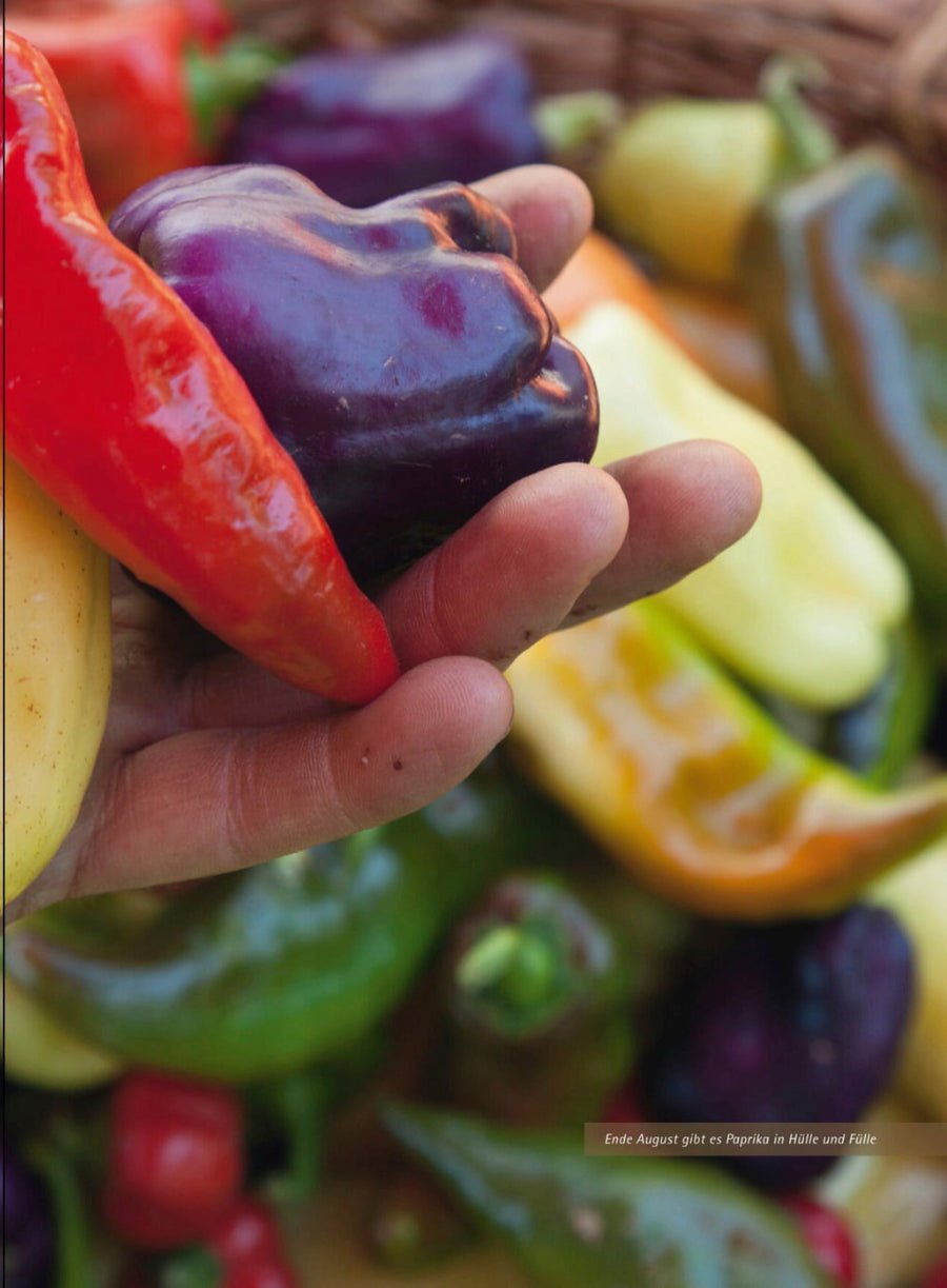 Naturbaustoffladen | Naturfarben Freiburg _ Andrea Heistinger | Das große Biogarten - Buch