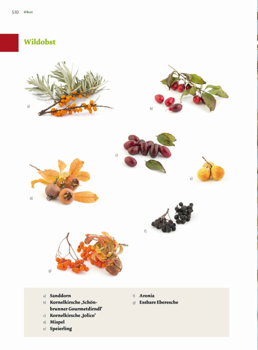 Naturbaustoffladen | Naturfarben Freiburg _ Andrea Heistinger | Das große Biogarten - Buch