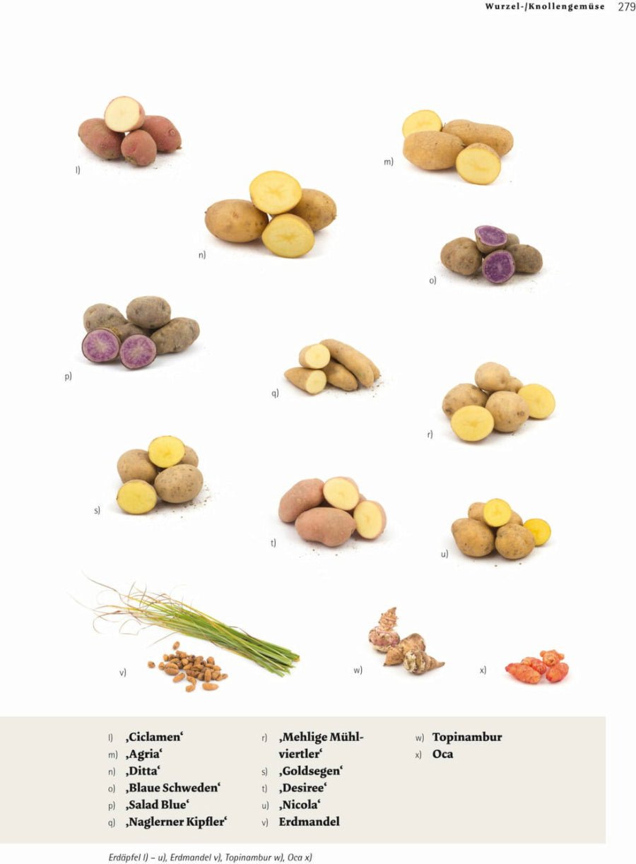 Naturbaustoffladen | Naturfarben Freiburg _ Andrea Heistinger | Das große Biogarten - Buch