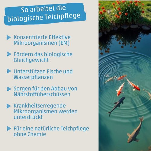 Naturbaustoffladen | Naturfarben Freiburg _ EMIKO Bio Teichpflege