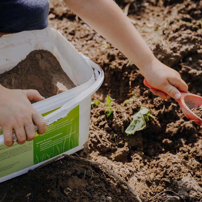 Naturbaustoffladen | Naturfarben Freiburg _ EMIKO UrgesteinsMehl