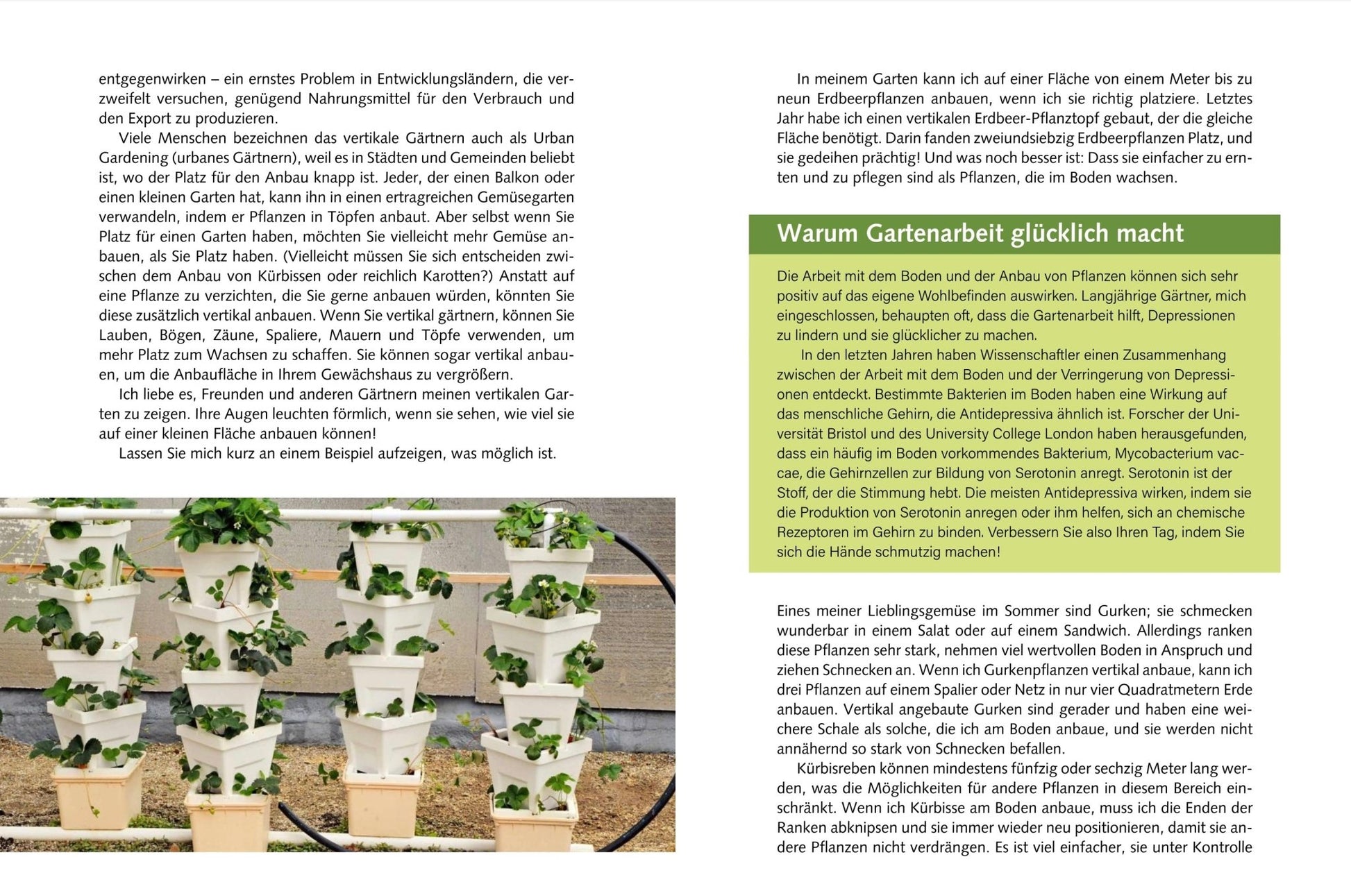 Naturbaustoffladen | Naturfarben Freiburg _ Jason Johns | Mein vertikaler Garten