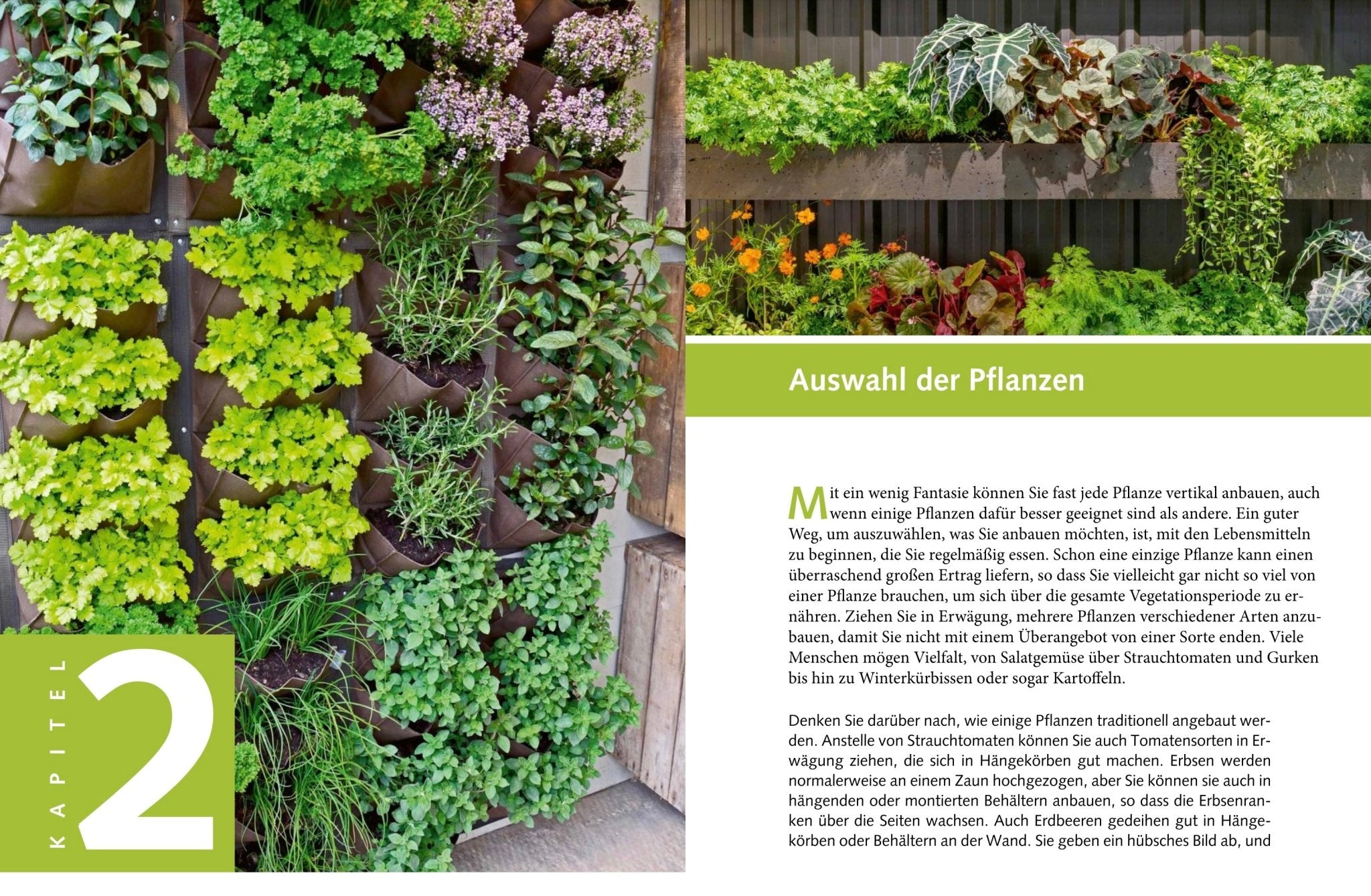 Naturbaustoffladen | Naturfarben Freiburg _ Jason Johns | Mein vertikaler Garten