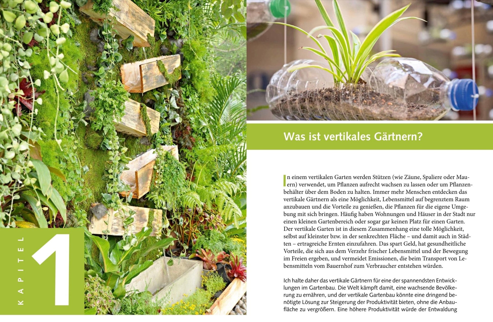 Naturbaustoffladen | Naturfarben Freiburg _ Jason Johns | Mein vertikaler Garten