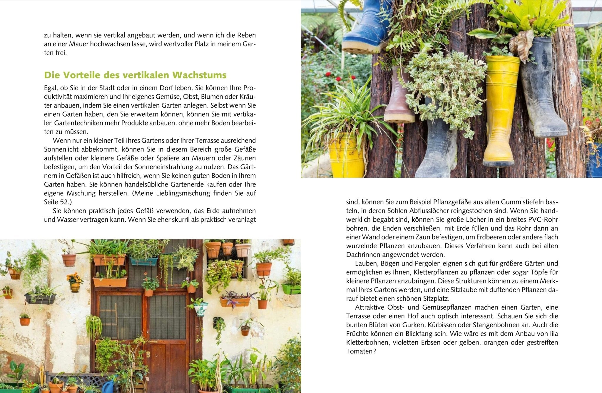 Naturbaustoffladen | Naturfarben Freiburg _ Jason Johns | Mein vertikaler Garten