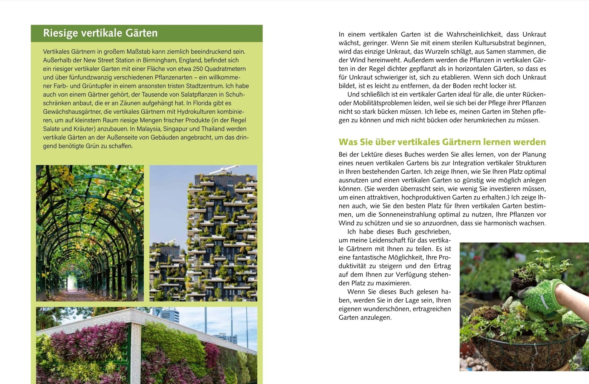Naturbaustoffladen | Naturfarben Freiburg _ Jason Johns | Mein vertikaler Garten