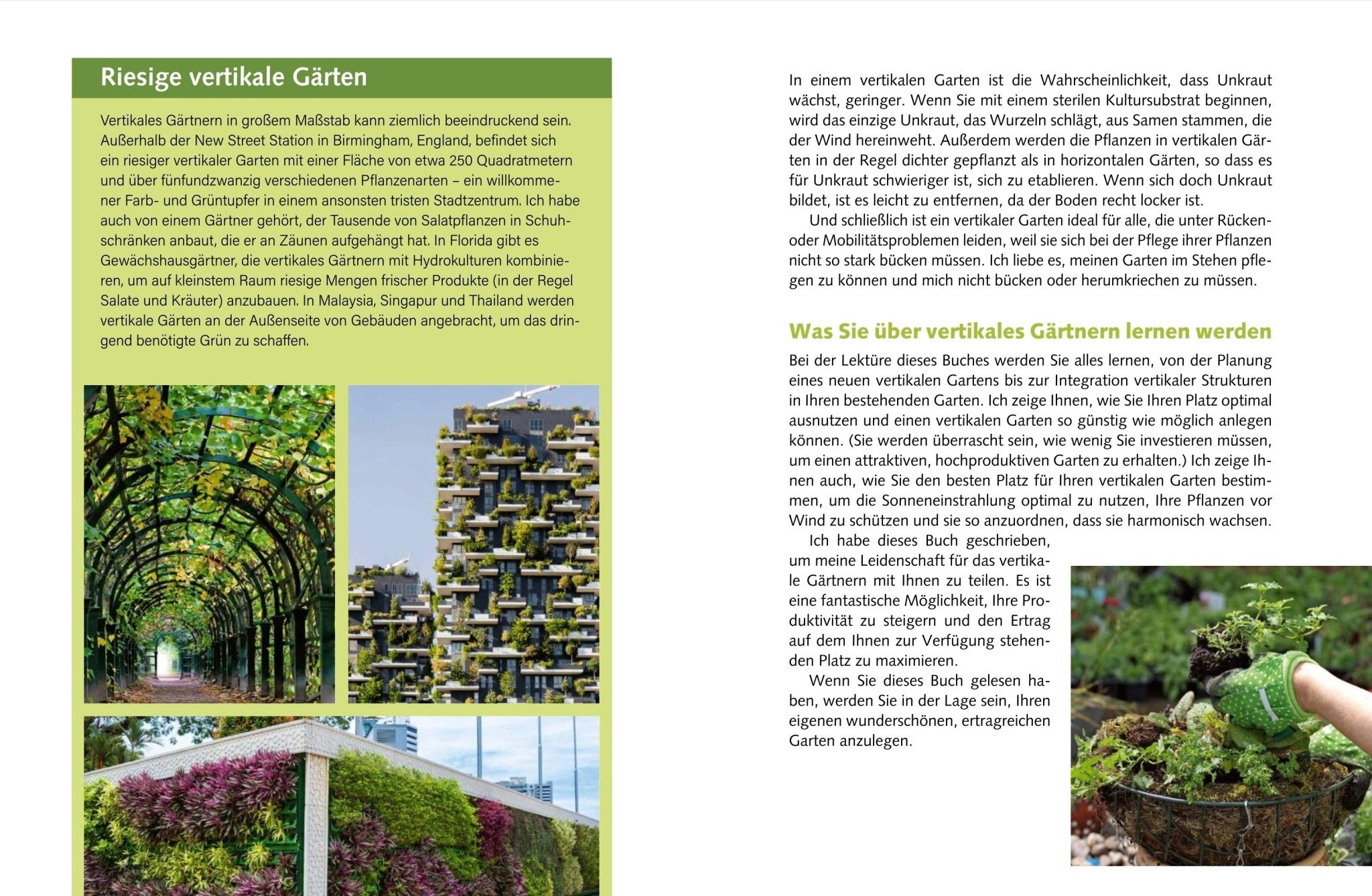 Naturbaustoffladen | Naturfarben Freiburg _ Jason Johns | Mein vertikaler Garten