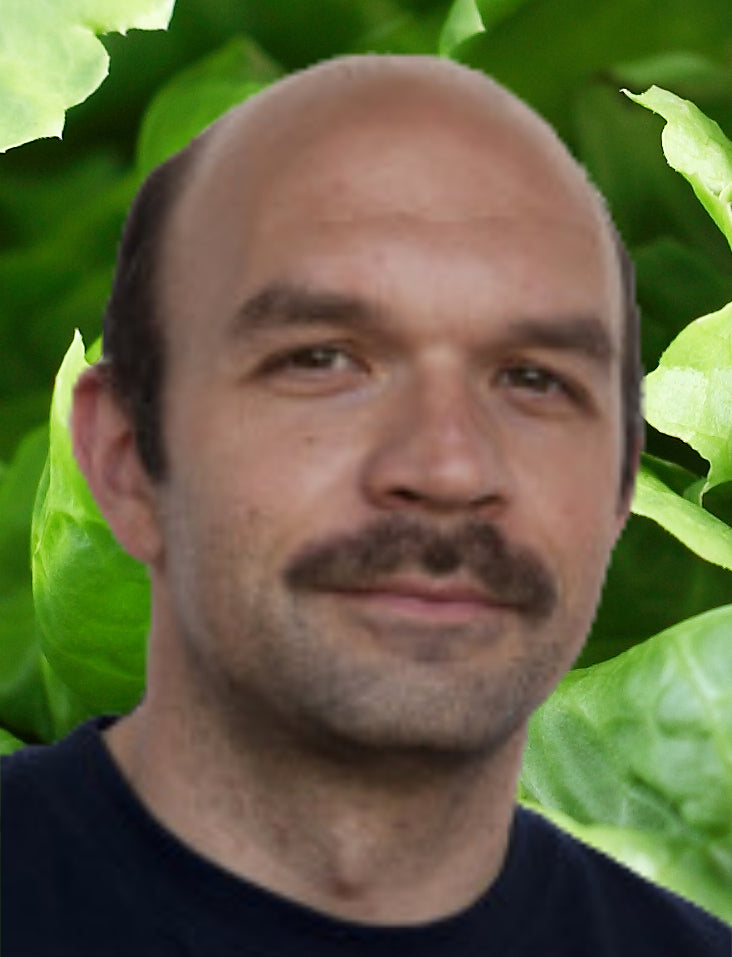 Naturbaustoffladen | Naturfarben Freiburg _ Testimonials Baudendistel